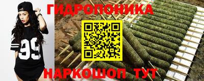 винт Кингисепп