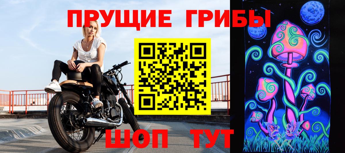 Галлюциногенные грибы Psilocybine cubensis  Псилоцибиновые грибы мухоморы  Энгельс  Вход с VPN 