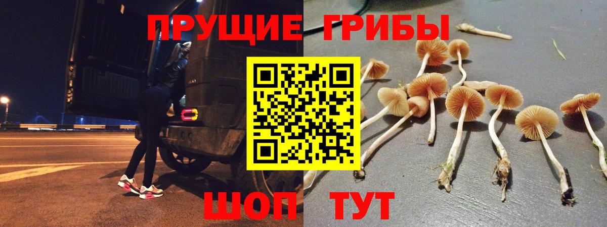 Псилоцибиновые грибы GOLDEN TEACHER Энгельс